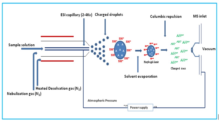 Analyzing Crude Peptide Samples By Mass Spectrometry What Are The Analyzing Crude Peptide Samples By Mass Spectrometry What Are The